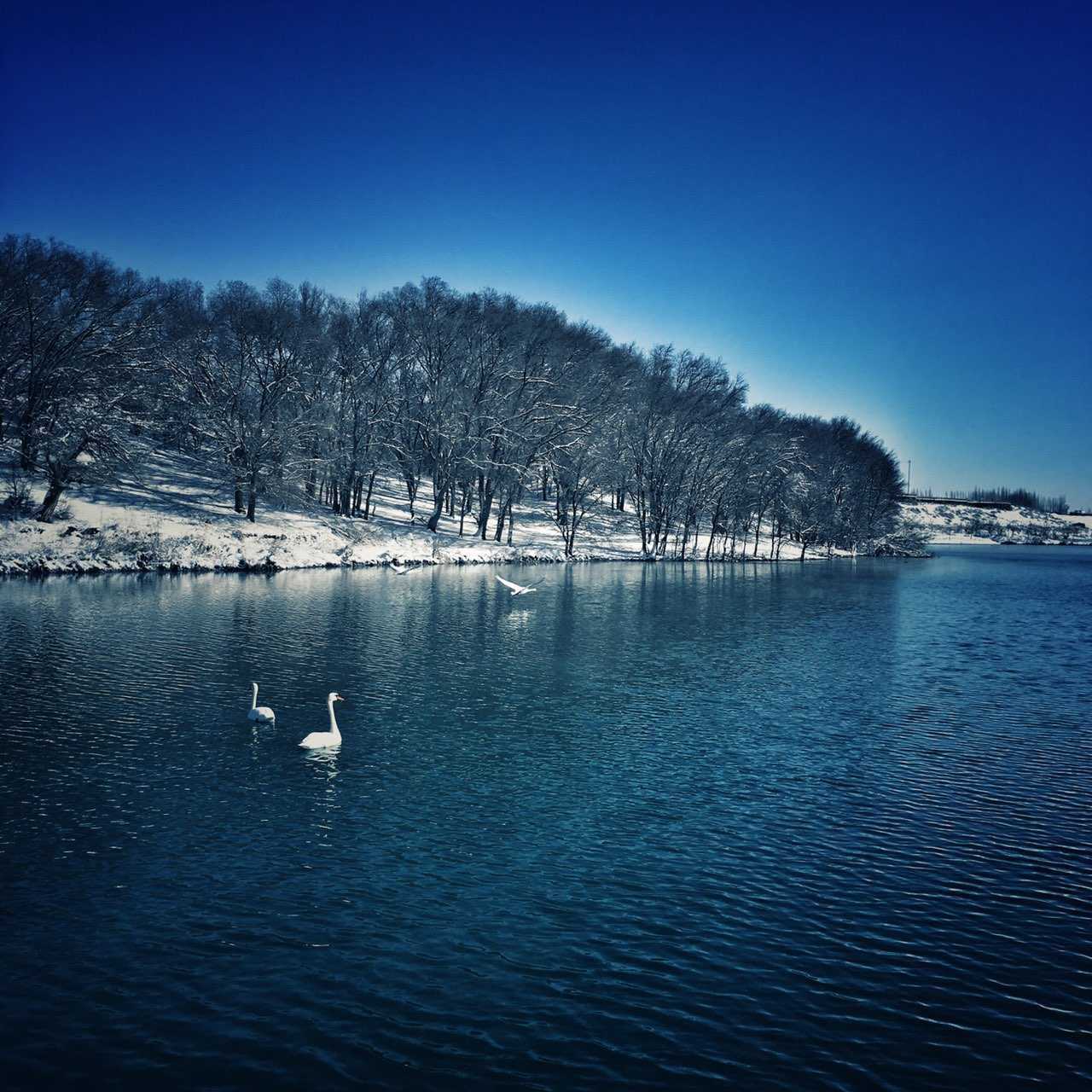 小说漂泊第四部,漂泊小说第三章