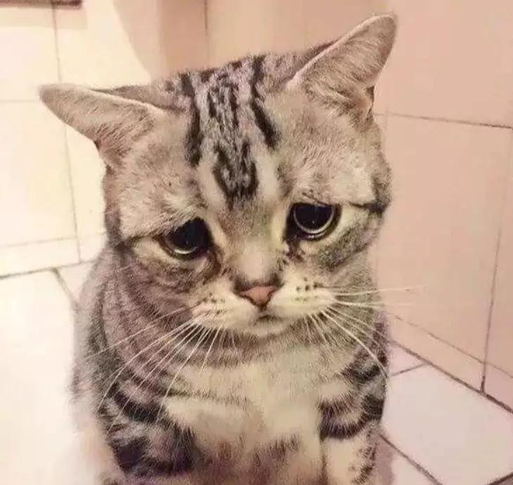 为什么有女朋友了还会出去玩,为啥有女朋友还打游戏