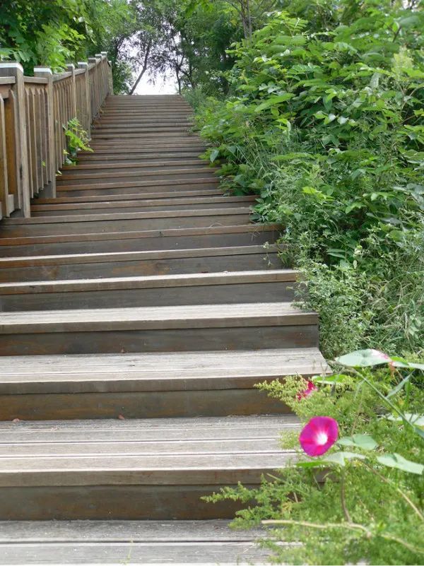 大连金石滩冬天一路美景,漫步在大连金石滩的黄金海岸