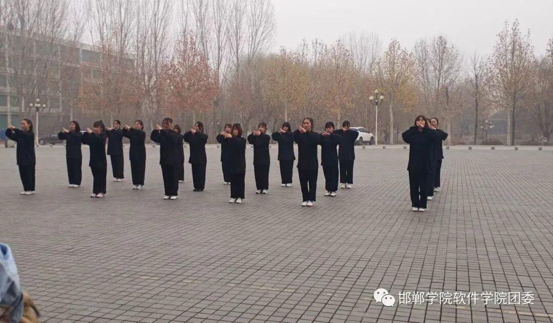 aseo学校招生简章,邯郸学院软件技术