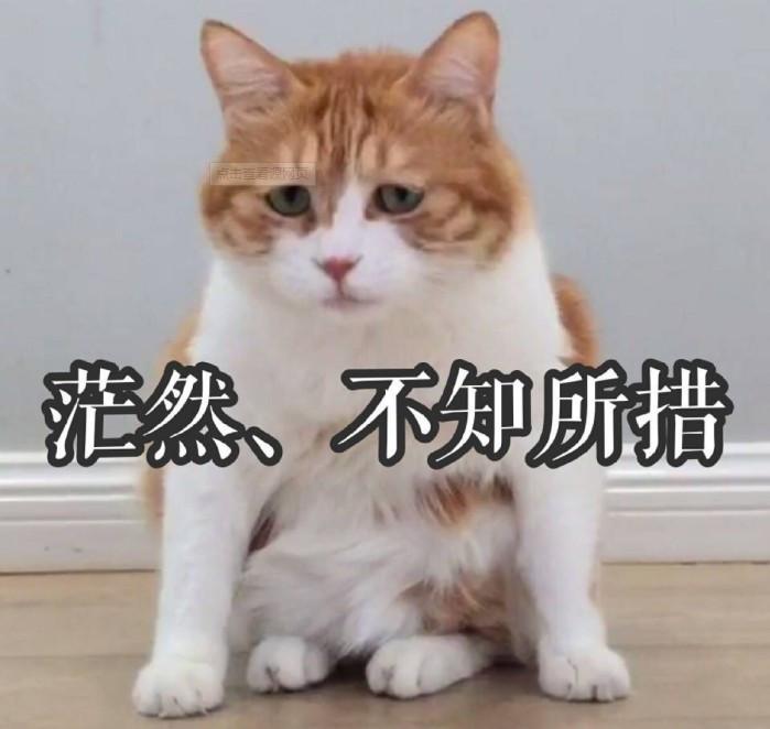 又到韩国留学入学季,行李准备好了吗?