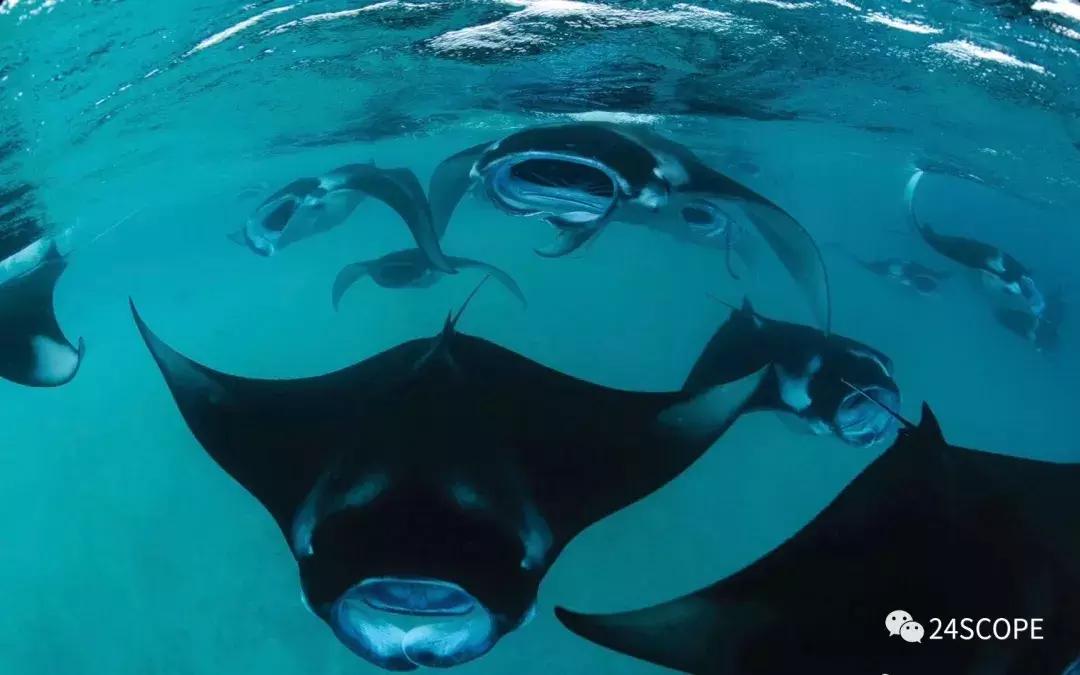 马尔代夫康杜玛岛攻略,马尔代夫怎么选岛