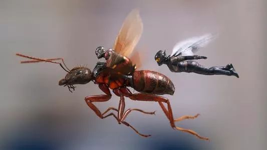 千防万防家贼难防高大上说法,地下室装修防潮湿的最好方法