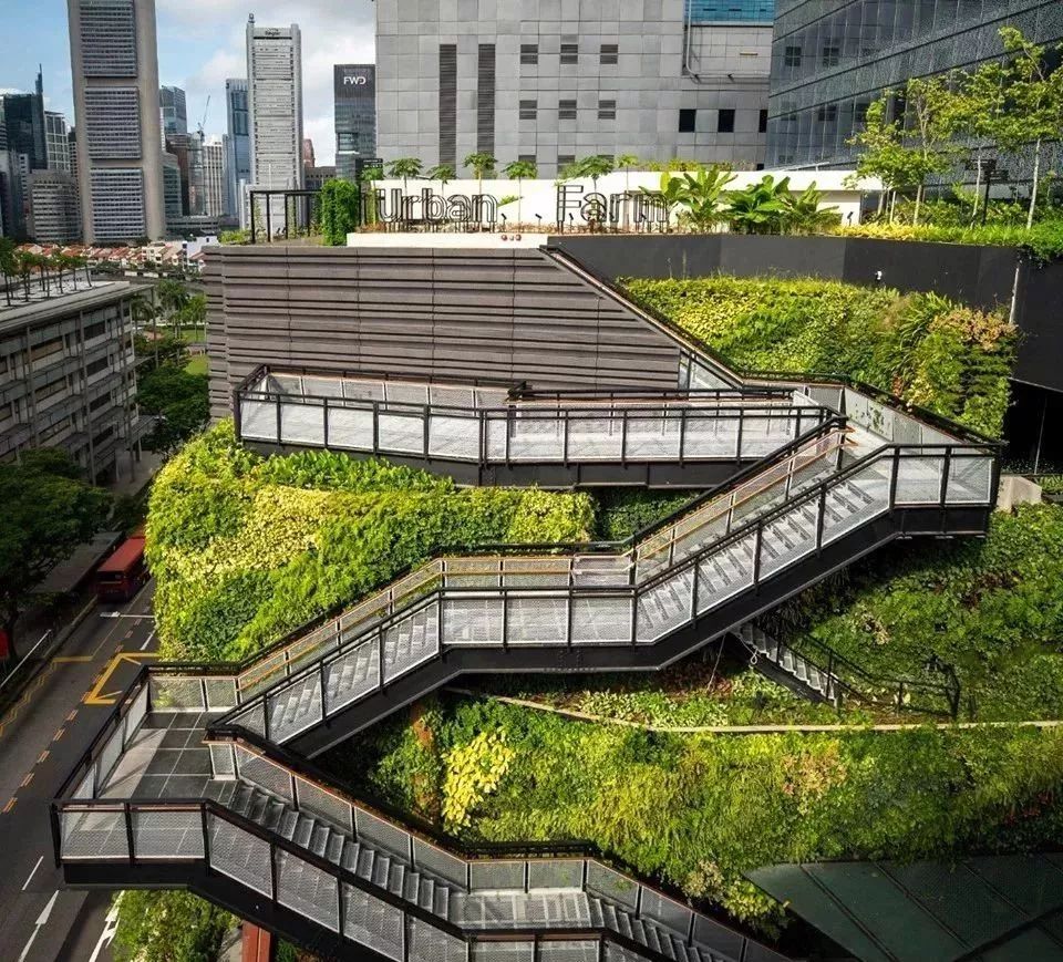 新加坡顶级购物中心,新加坡plazasingapura购物中心