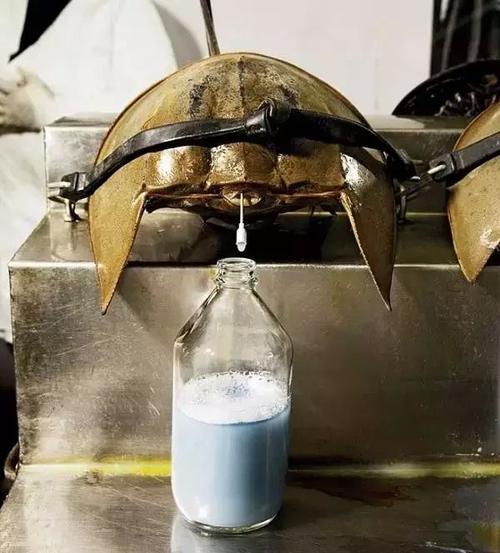 世界上哪种动物的血最贵,世界上最值钱的动物血