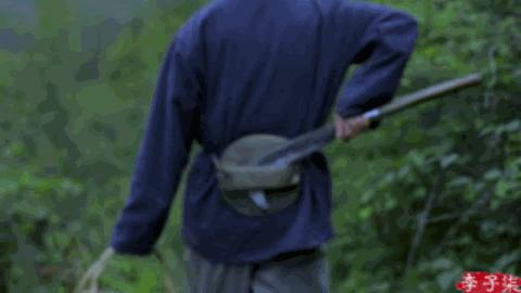 李子柒早期作品村姑女汉子形象,最美网红李子柒