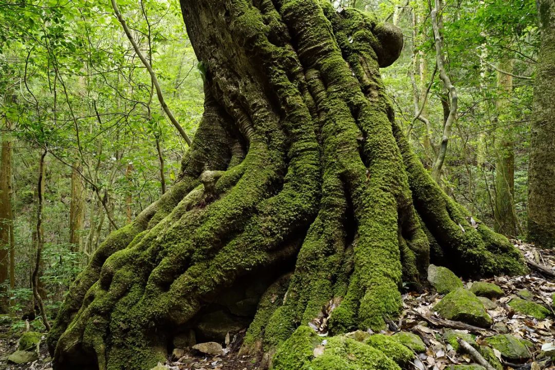 优派27寸vx2762显示器测评,显示器优派vx2780-4k