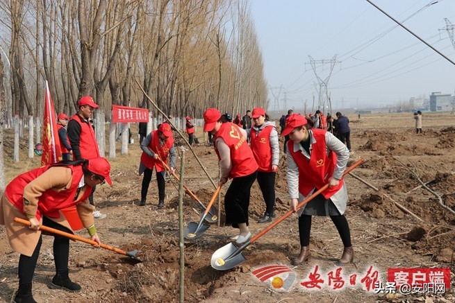 林州全国文明典范城市,林州创文明城市
