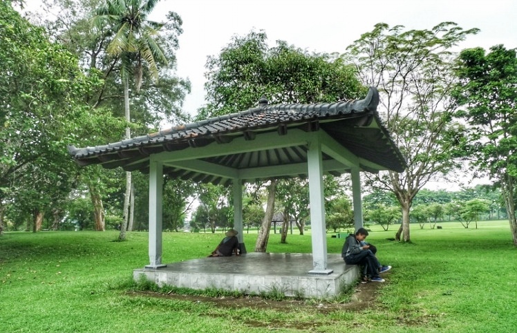 印度世界文化遗产神庙,第一大印度神庙