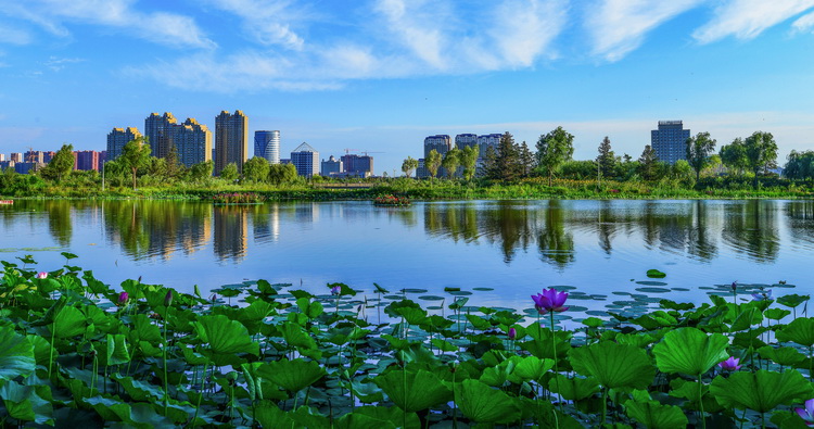 五块“国字号”招牌科尔沁璀璨明珠——这里是通辽！