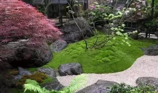 禅意庭院一定要用苔藓吗,禅意苔藓微景观制作视频