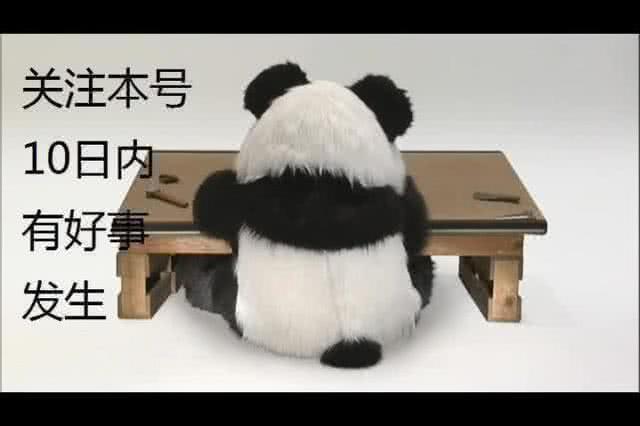 c罗韩国行为引发韩球迷强烈不满,孙兴慜怎么看待c罗韩国行