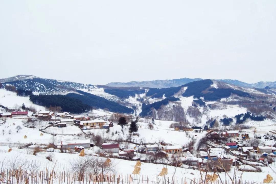 不忽悠！“拔草”这些小村屯才不辜负这个冬天