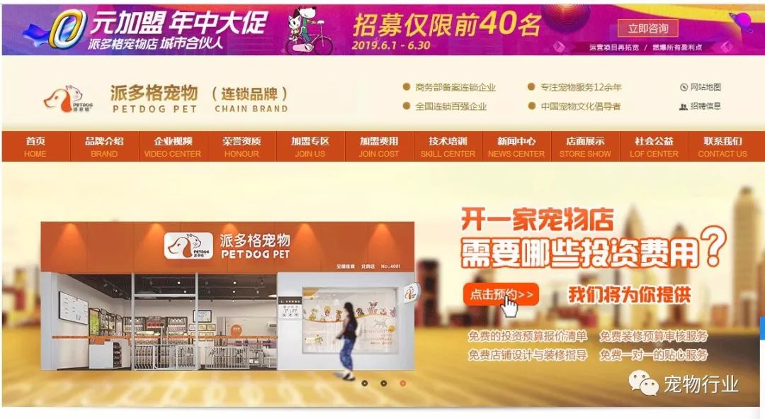 不太正经的宠物店名称有哪些,高端宠物店适合开在什么地方