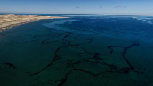 青海湖是否会再和黄河相连,青海湖还有可能变为淡水湖吗
