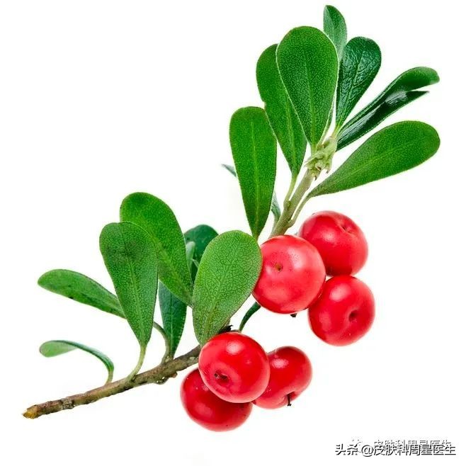 白到发光最可怕,科学教您白白哒!