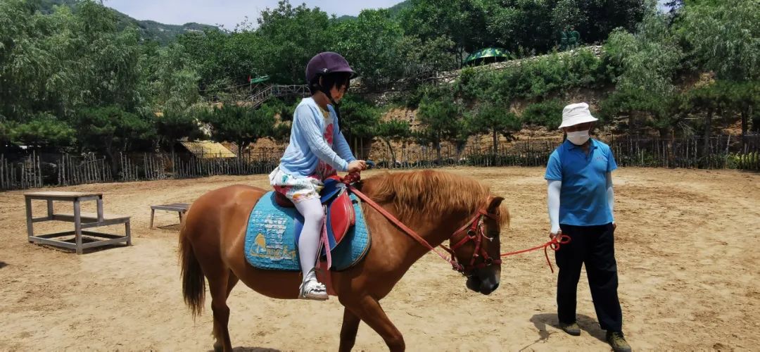 济南适合遛娃的免费去处,春节遛娃好去处济南