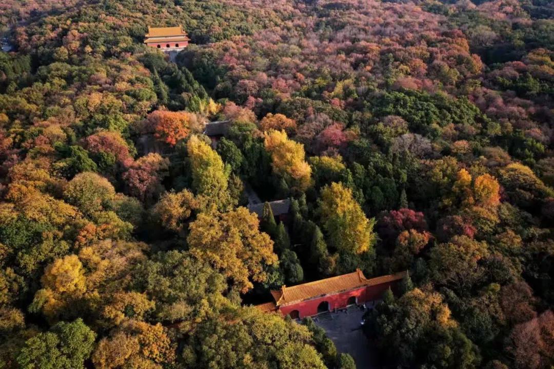 南京是属于哪个省的,南京是现在的哪个城市