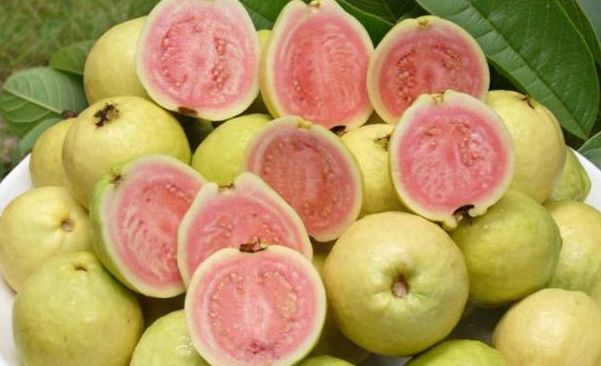 新加坡人爱吃的食物,新加坡奇葩美食图片