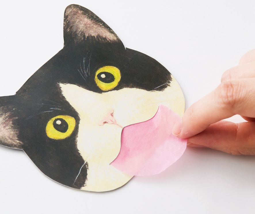 日本人又来骗猫奴们的钱啦！但我心甘情愿掏钱了！