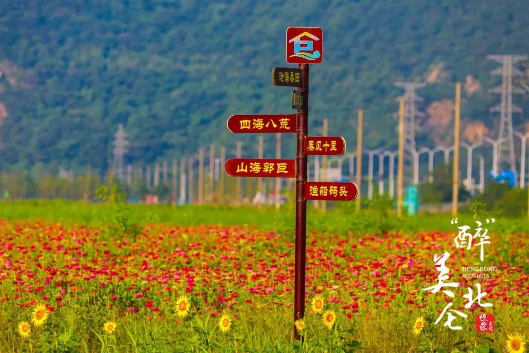 家在北仑,我有一个家北仑