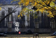 品谷雨茶，聊中国第五大发明——二十四节气