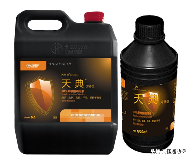 母猪产后坐月子,母猪坐月子