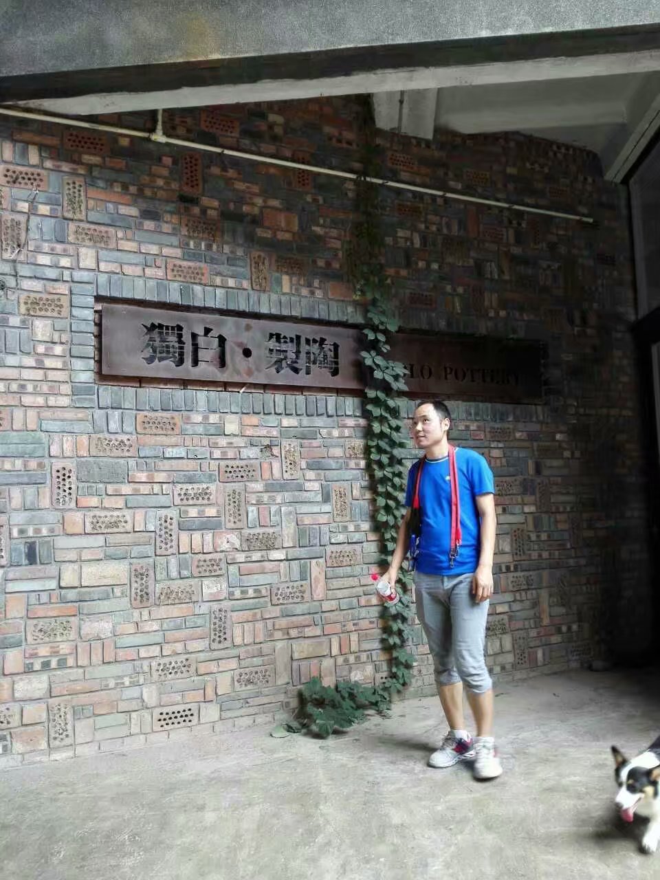 打卡食草堂,打卡素食茶馆餐厅