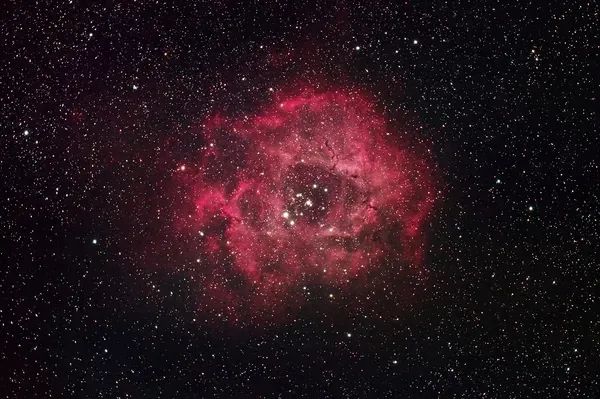 假期儿童纪录片推荐经典,青少年假期推荐纪录片