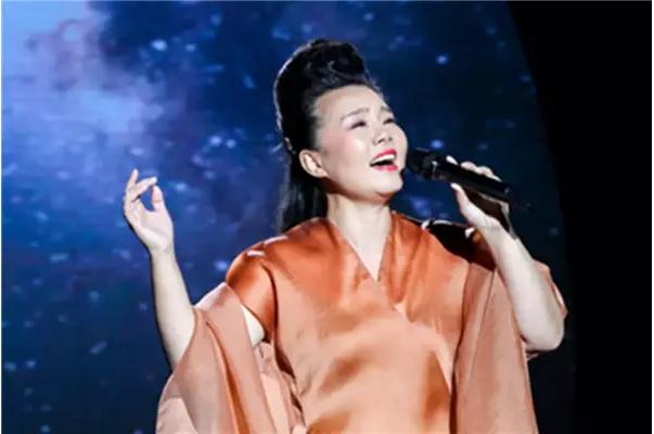 周末开放的大型音乐会,音乐节大型演出