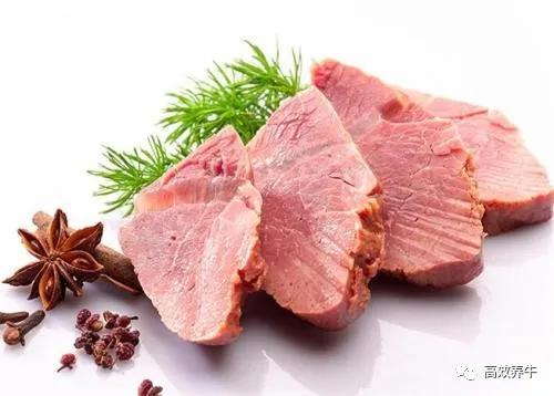 吃牛肉不能和哪六种食物同食,吃牛肉不能和什么食物同吃