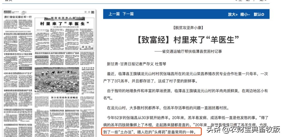 警醒!羔羊生病喂人吃的“头疼药”是“土办法”?实则违法