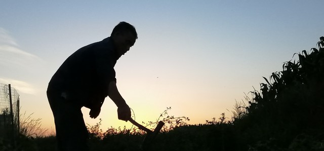 我恨我爸爸原版,我恨我爸爸作文