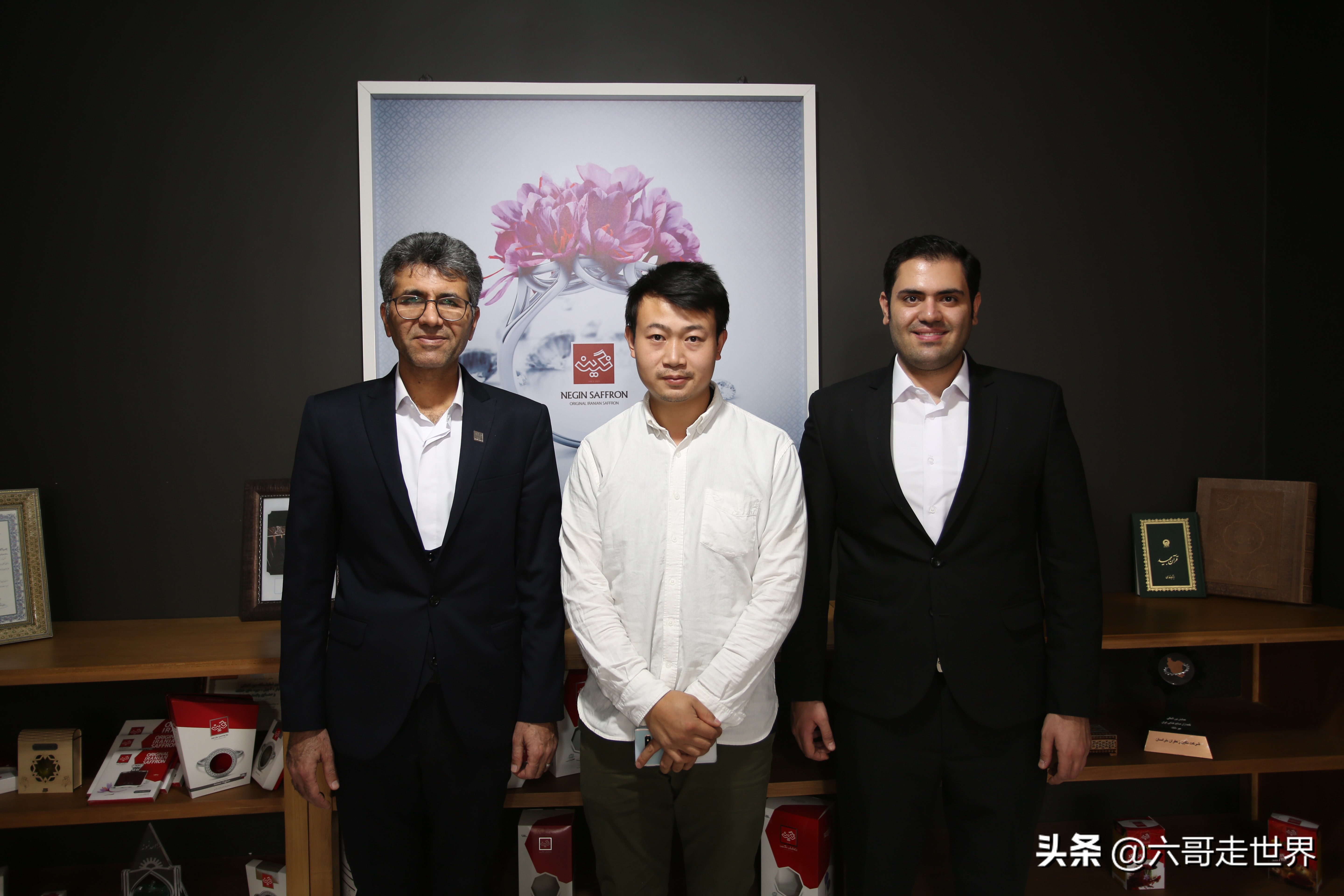 伊朗藏红花丰收季,伊朗红花采摘季