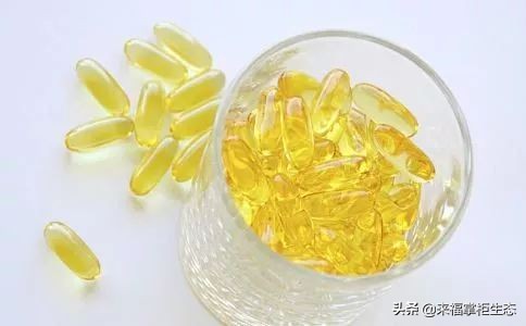 挪威小鱼深海鳕鱼油dha,挪威鱼肝油dha价格