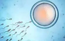 要宝宝的最佳时期,一般几月份备孕生娃好