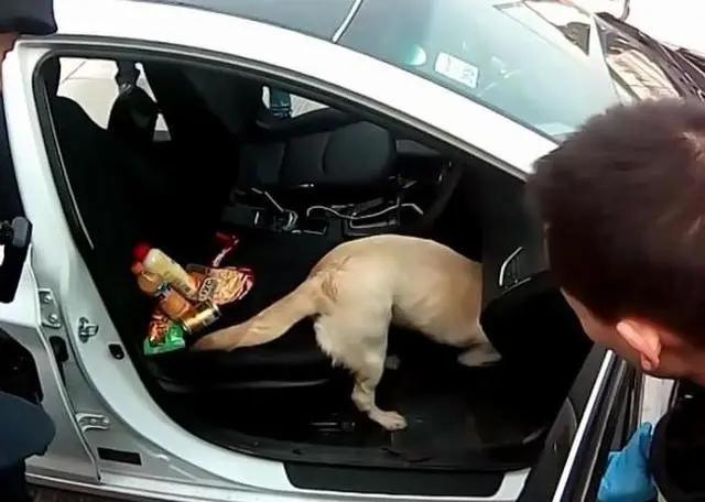 51岁女毒贩生下女儿,51岁女毒贩留下一岁女儿