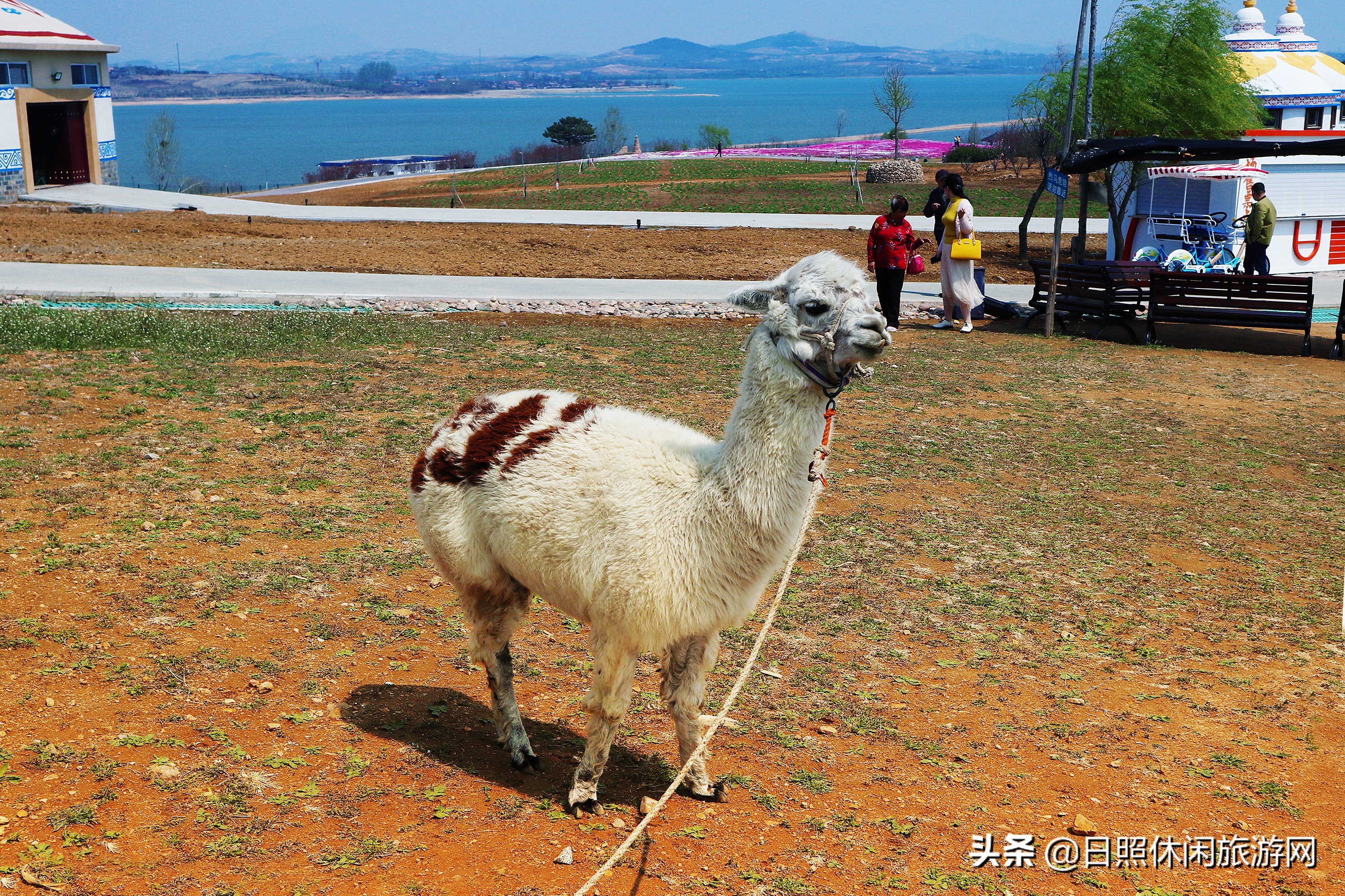 山东日照旅游4-5天详细攻略,去日照旅游应该住在哪里方便游玩