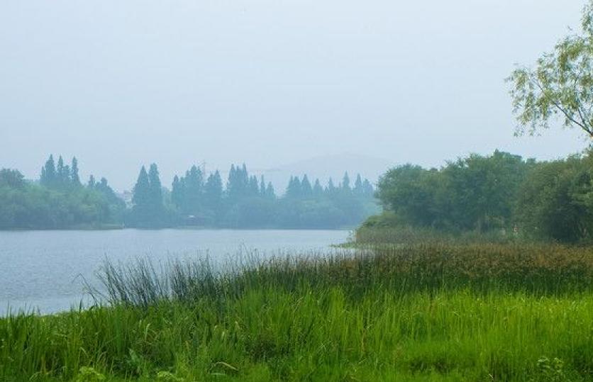 《丰乳肥臀》:鲁璇儿水性杨花,女儿们自由恋爱,结局却殊途同归