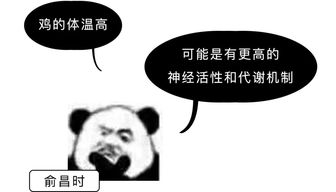 鸭血为什么叫打鸡血,鸡血鸭血有什么区别