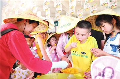 三亚美丽乡村旅游项目,三亚全域旅游新模式