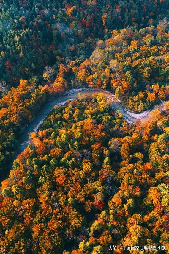 中国五大国家公园,中国十大私藏国家公园