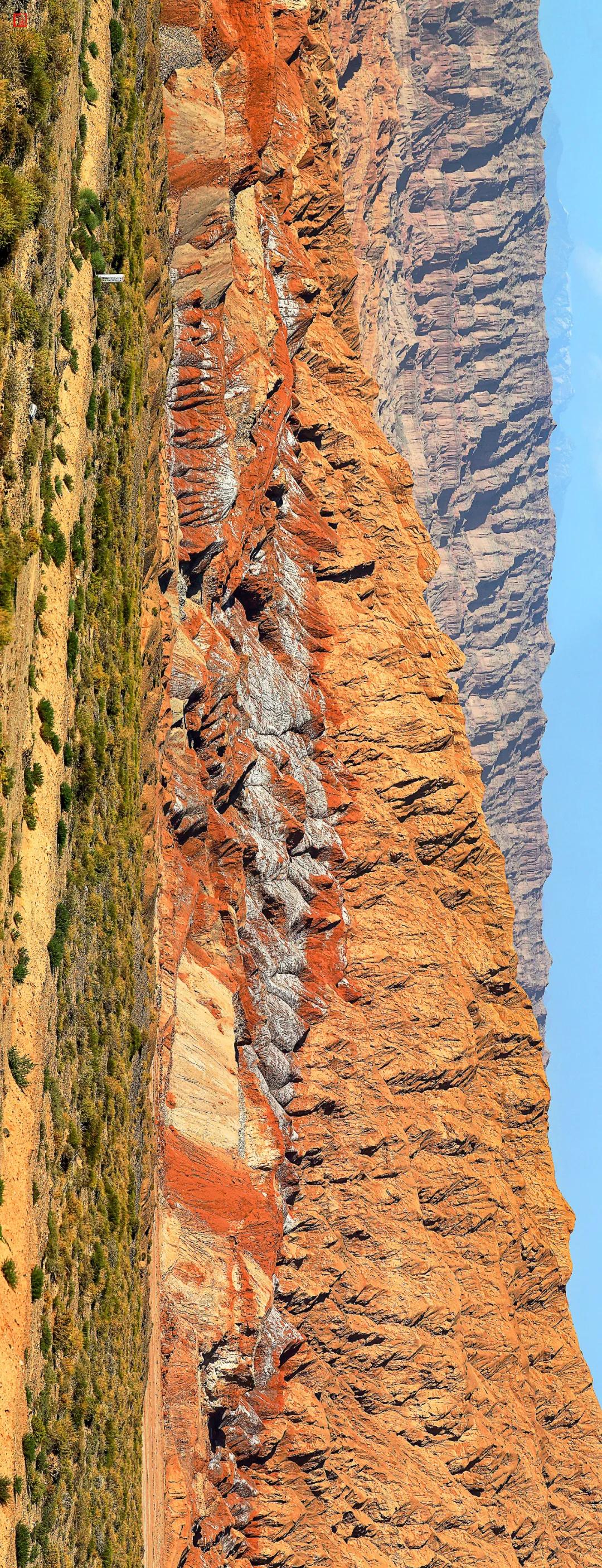 新疆塔里木大沙漠风景,除了沙漠树森林树还有什么