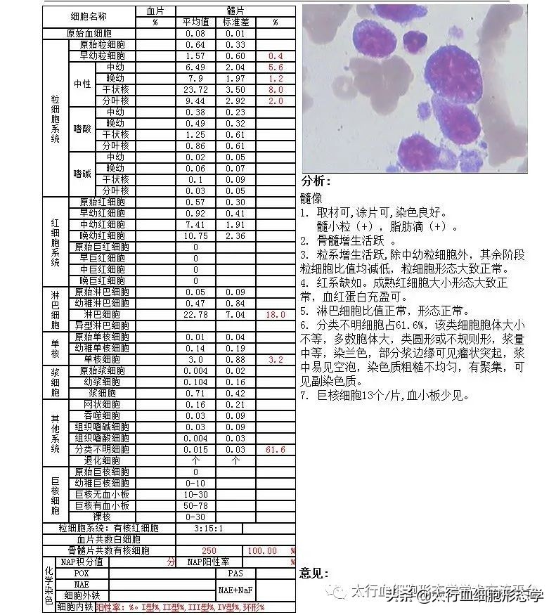 浆质体是什么,浆质体图片