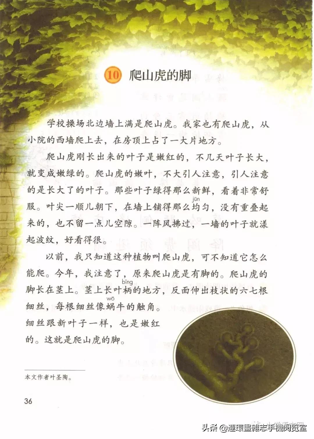 广西小学四年级上册语文课本,四年级的语文上册课本全部