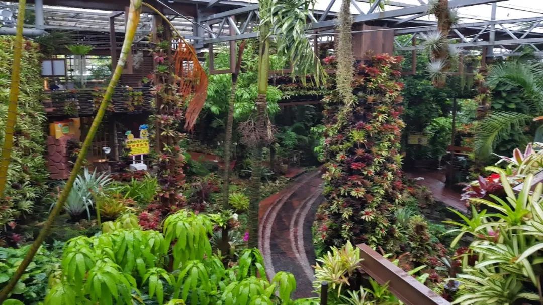 这个冬天来威海玩雪吧,冲绳出海看鲸鱼的季节