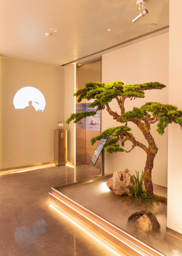 北国金秋好时光春城首遇“俏江南”