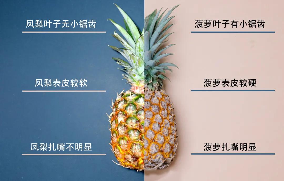 凤梨怎么吃最好吃凤梨的正确吃法,吃凤梨的正确吃法
