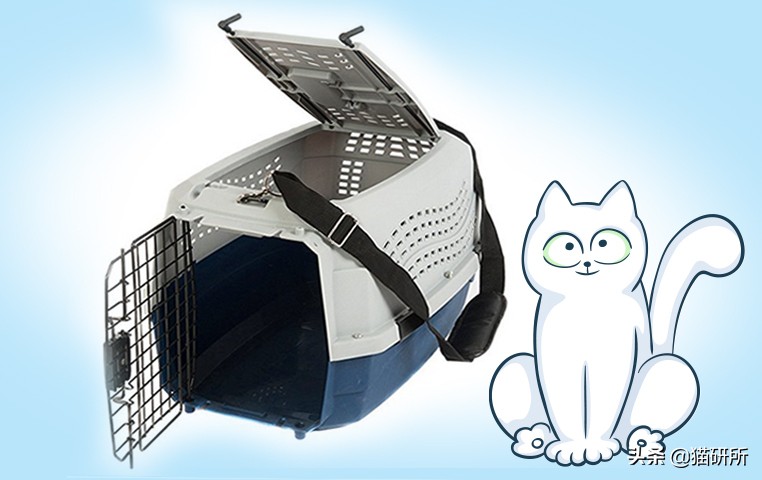 应该如何引导猫咪进航空箱,怎样让猫咪不害怕主人