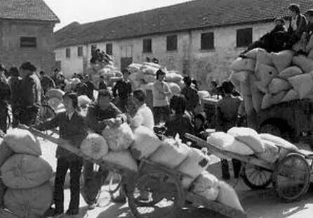 还记得当年缴公粮的场景吗,谁还记得当年交公粮的场景